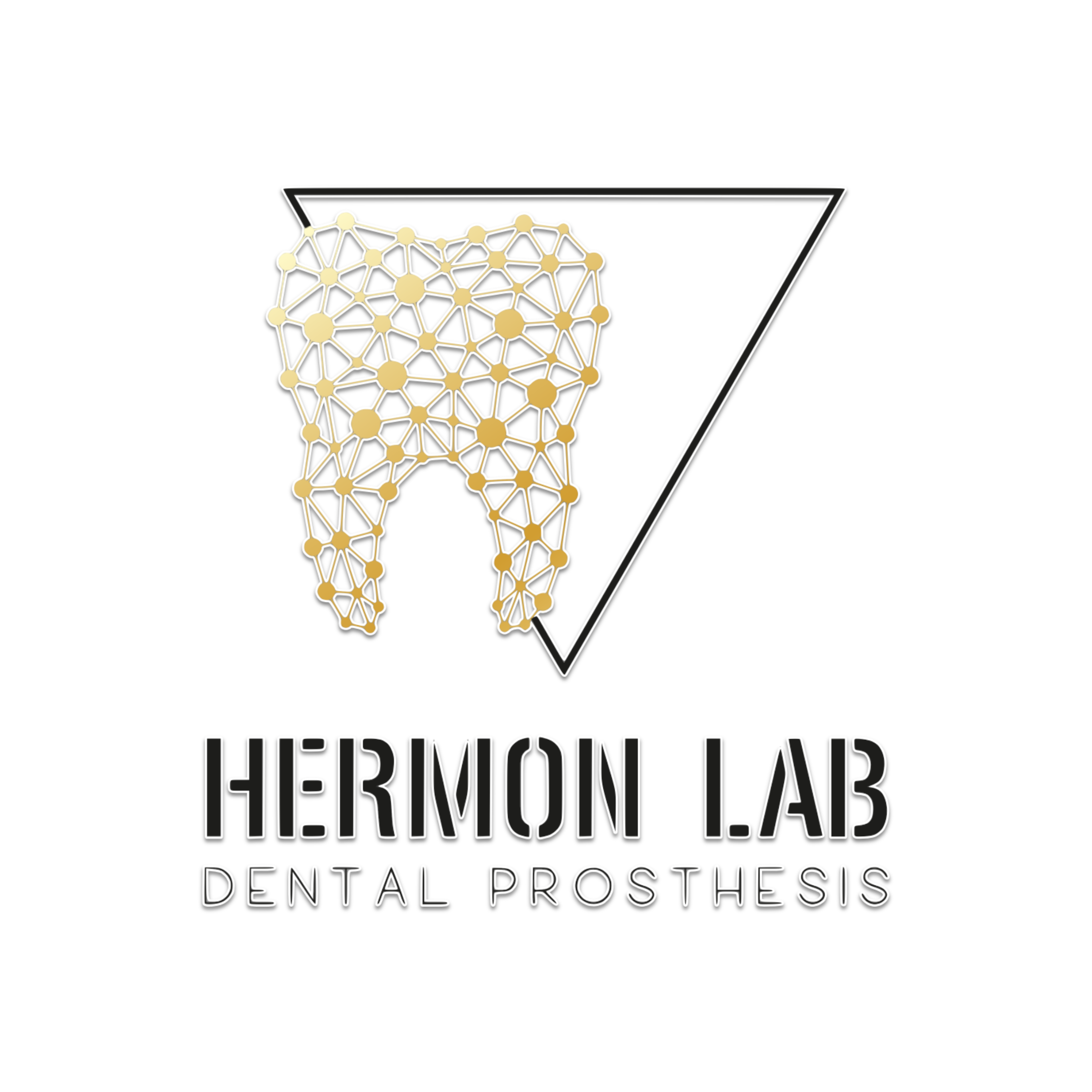 Hermon Lab